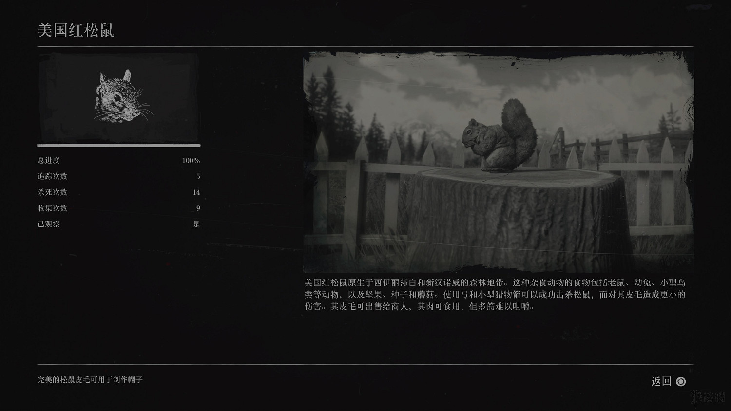 《荒野大鏢客2》全動物圖鑒訊息匯總 全動物獎杯要點分享