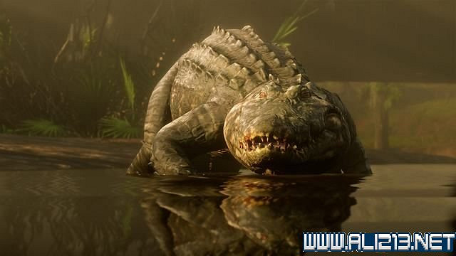 《荒野大鏢客2》通關流程圖文詳解 收集要素有哪些？