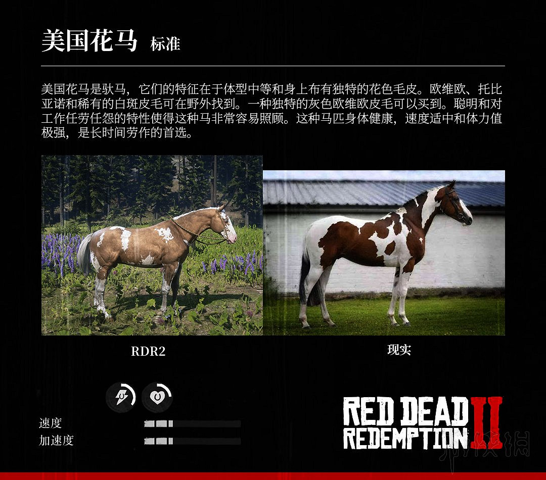 《荒野大鏢客2》全馬匹特性與原型對比分享 馬匹種類介紹 《荒野大鏢客2》全馬匹特性與原型對比分享 馬匹種類介紹