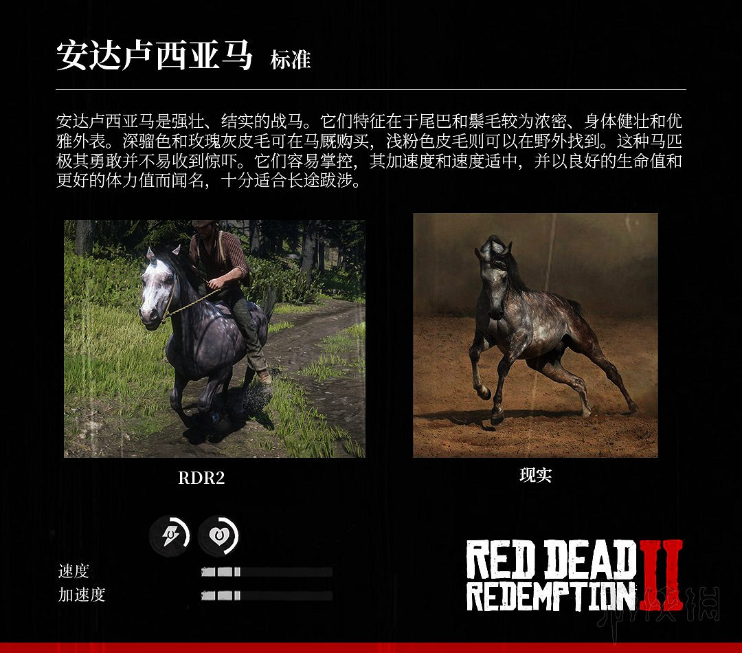 《荒野大鏢客2》全馬匹特性與原型對比分享 馬匹種類介紹 《荒野大鏢客2》全馬匹特性與原型對比分享 馬匹種類介紹