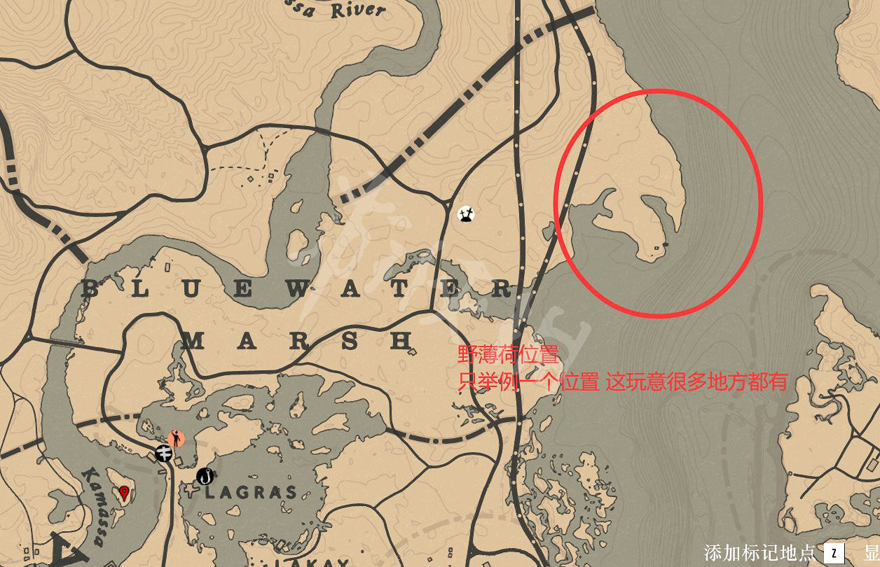 《荒野大鏢客2》12月17每日挑戰收集位置點 12月17日收藏位置有哪些？