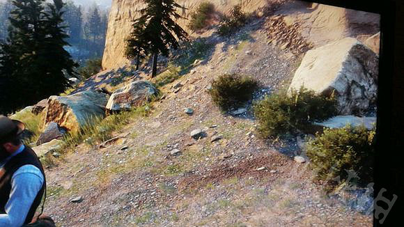 《荒野大鏢客2》北美紅雀和紅腹啄木鳥在哪？北美紅雀和紅腹啄木鳥位置一覽