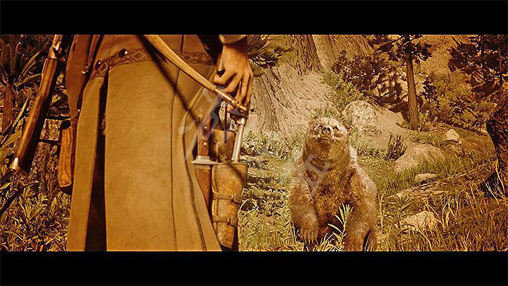 《荒野大鏢客2》傳奇熊怎麽殺 傳奇熊位置打法教學一覽 《荒野大鏢客2》傳奇熊怎麽殺 傳奇熊位置打法教學一覽