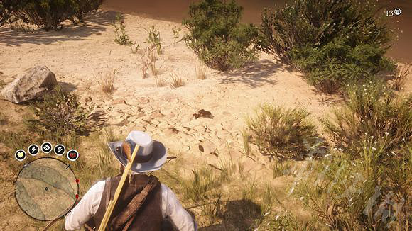 《荒野大鏢客2》沙漠蟾蜍和貴賓犬在哪？沙漠蟾蜍+貴賓犬位置一覽