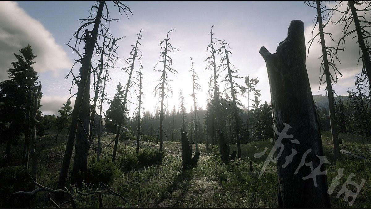 《荒野大鏢客2》完美毛皮需要什麽武器？獲取完美毛皮武器搭配介紹