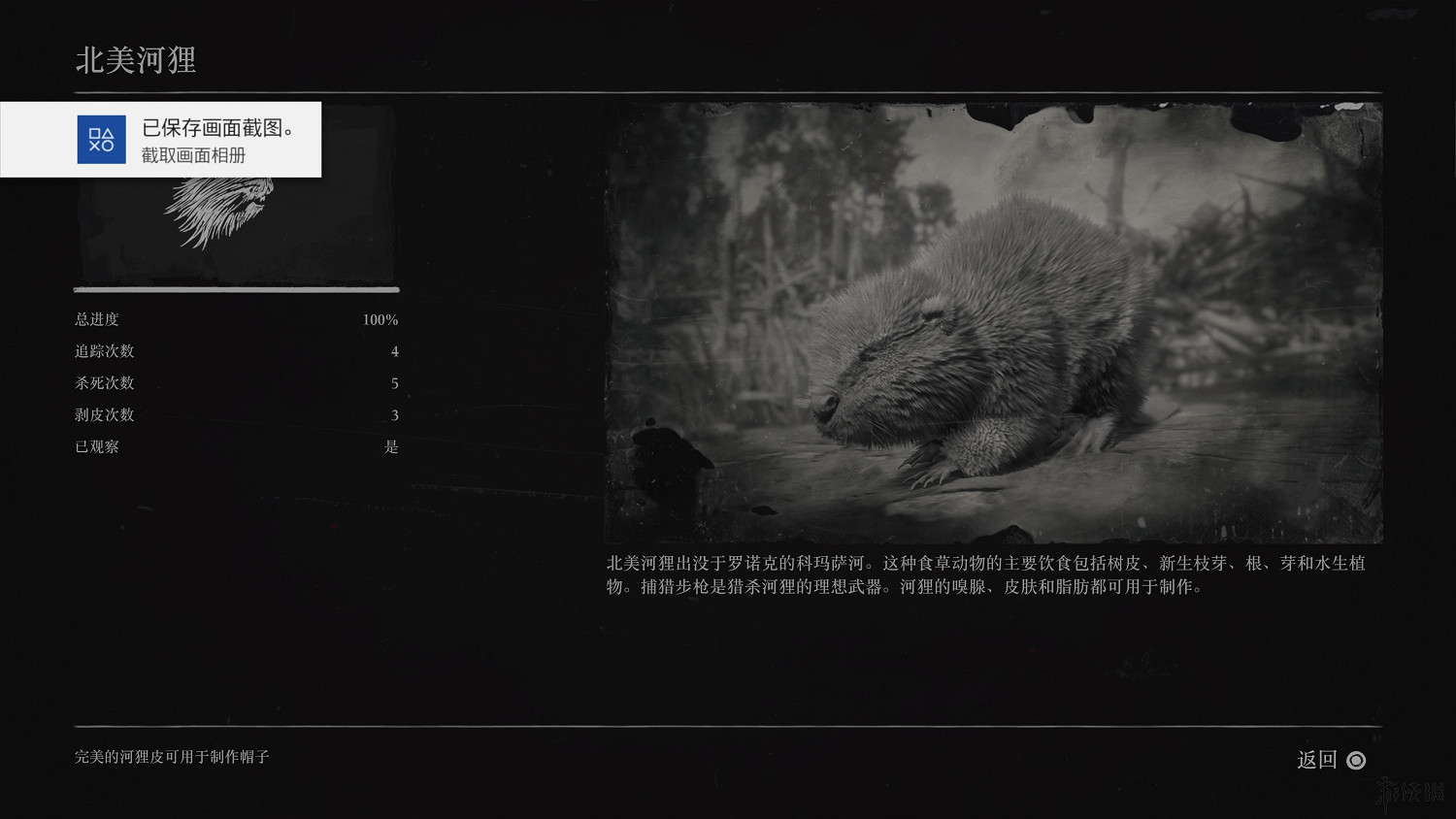 《荒野大鏢客2》全動物圖鑒訊息匯總 全動物獎杯要點分享