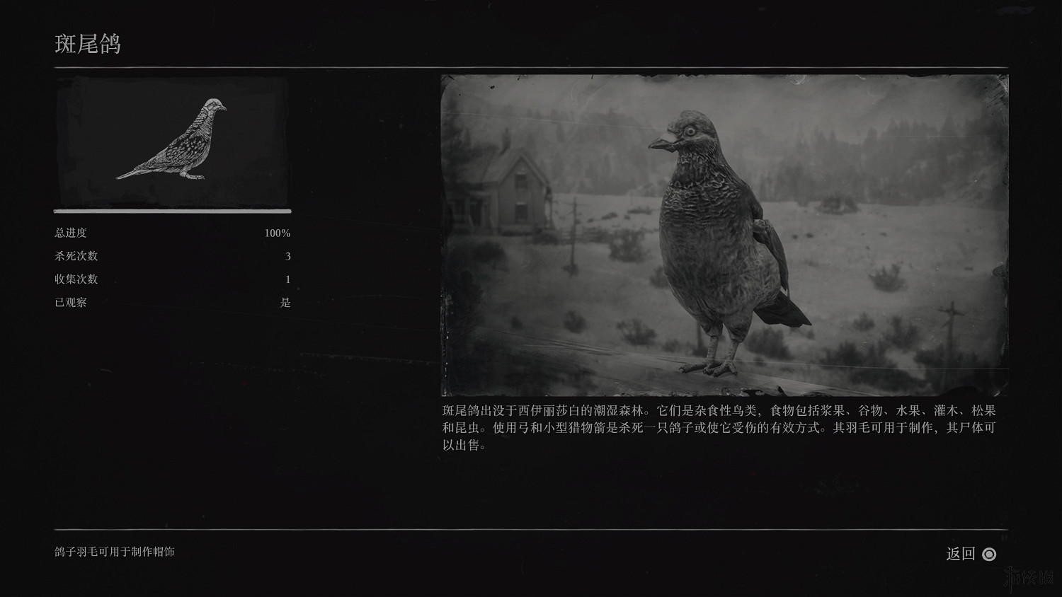 《荒野大鏢客2》全動物圖鑒訊息匯總 全動物獎杯要點分享 《荒野大鏢客2》全動物圖鑒訊息匯總 全動物獎杯要點分享