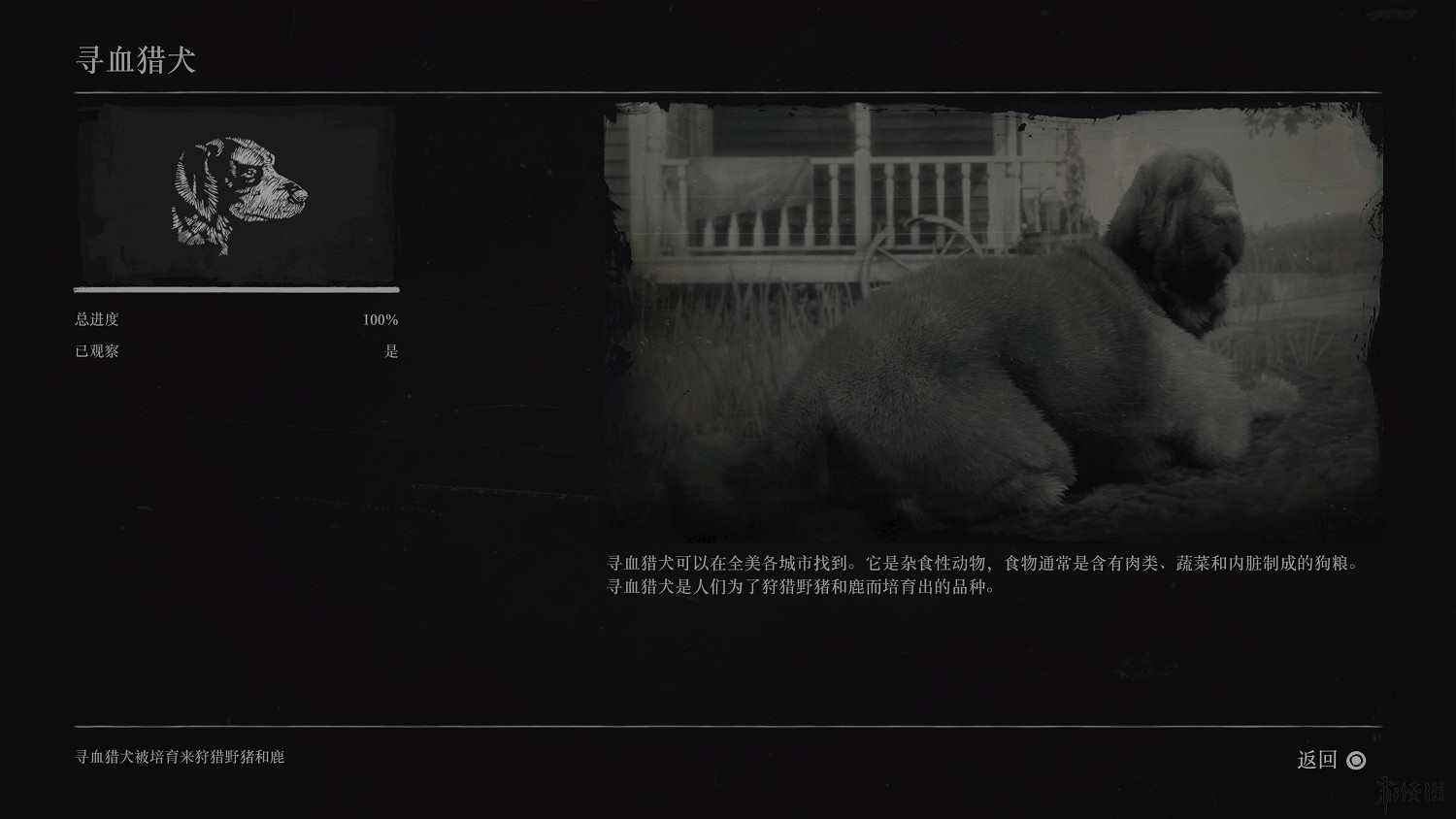 《荒野大鏢客2》全動物圖鑒訊息匯總 全動物獎杯要點分享 《荒野大鏢客2》全動物圖鑒訊息匯總 全動物獎杯要點分享