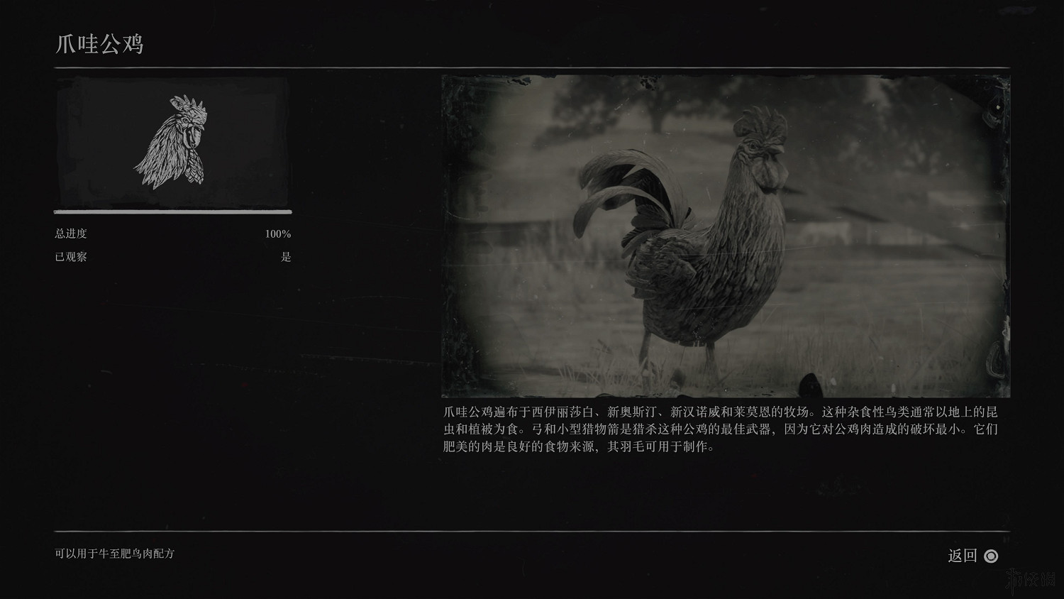 《荒野大鏢客2》全動物圖鑒訊息匯總 全動物獎杯要點分享 《荒野大鏢客2》全動物圖鑒訊息匯總 全動物獎杯要點分享