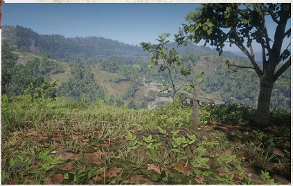 《荒野大鏢客2》全墓碑地圖位置一覽 墓碑位置在哪 《荒野大鏢客2》全墓碑地圖位置一覽 墓碑位置在哪