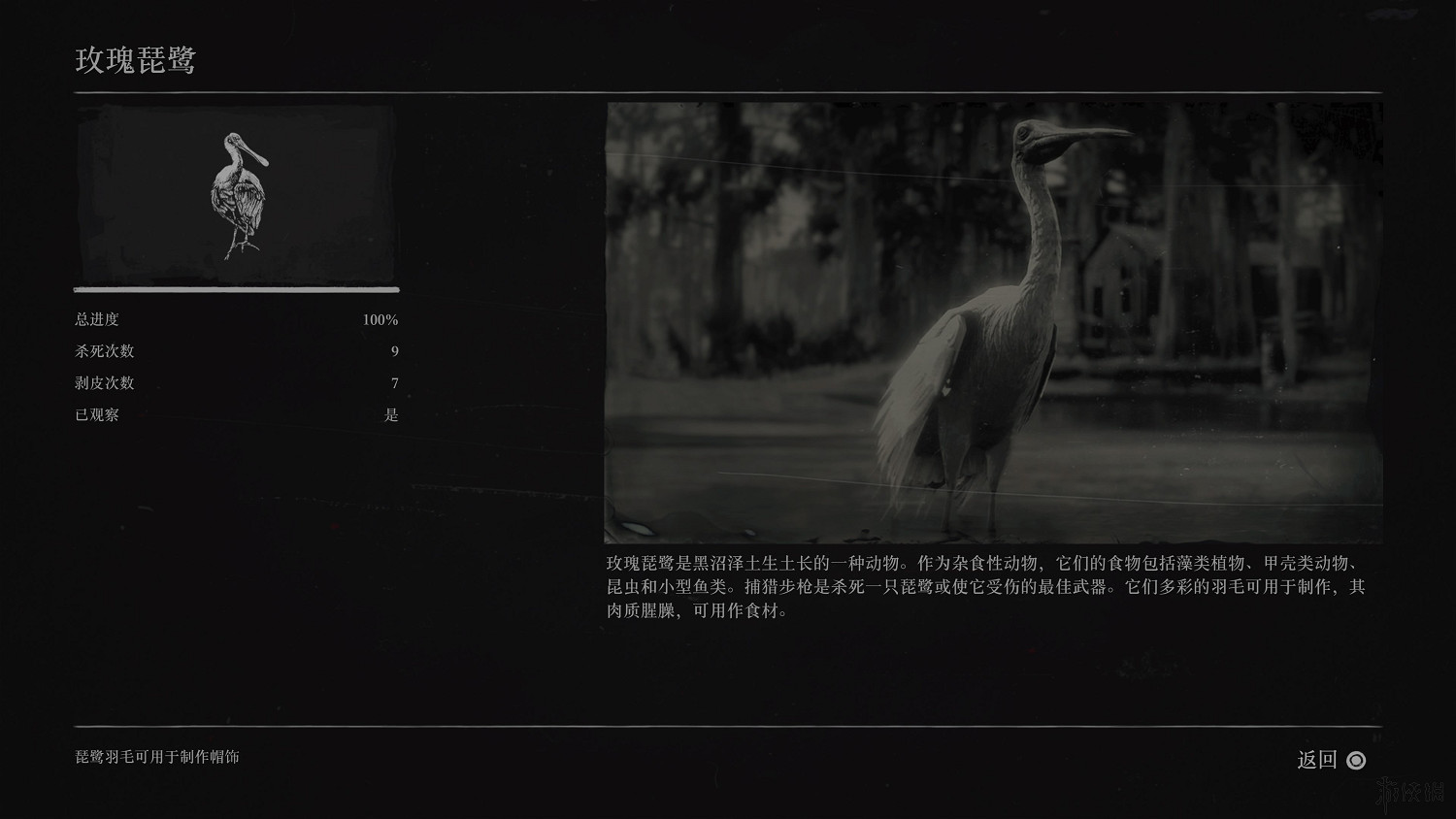 《荒野大鏢客2》全動物圖鑒訊息匯總 全動物獎杯要點分享