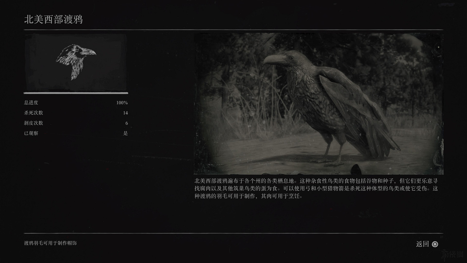 《荒野大鏢客2》全動物圖鑒訊息匯總 全動物獎杯要點分享