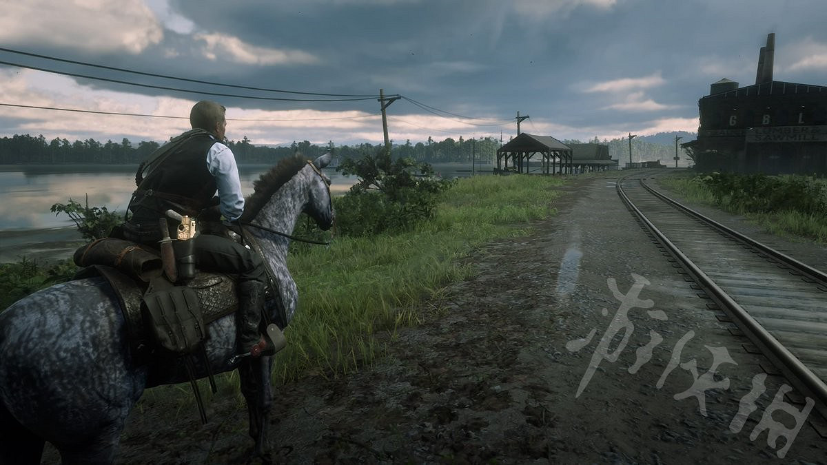 《荒野大鏢客2》怎麽快速剝皮？快速剝皮操作介紹