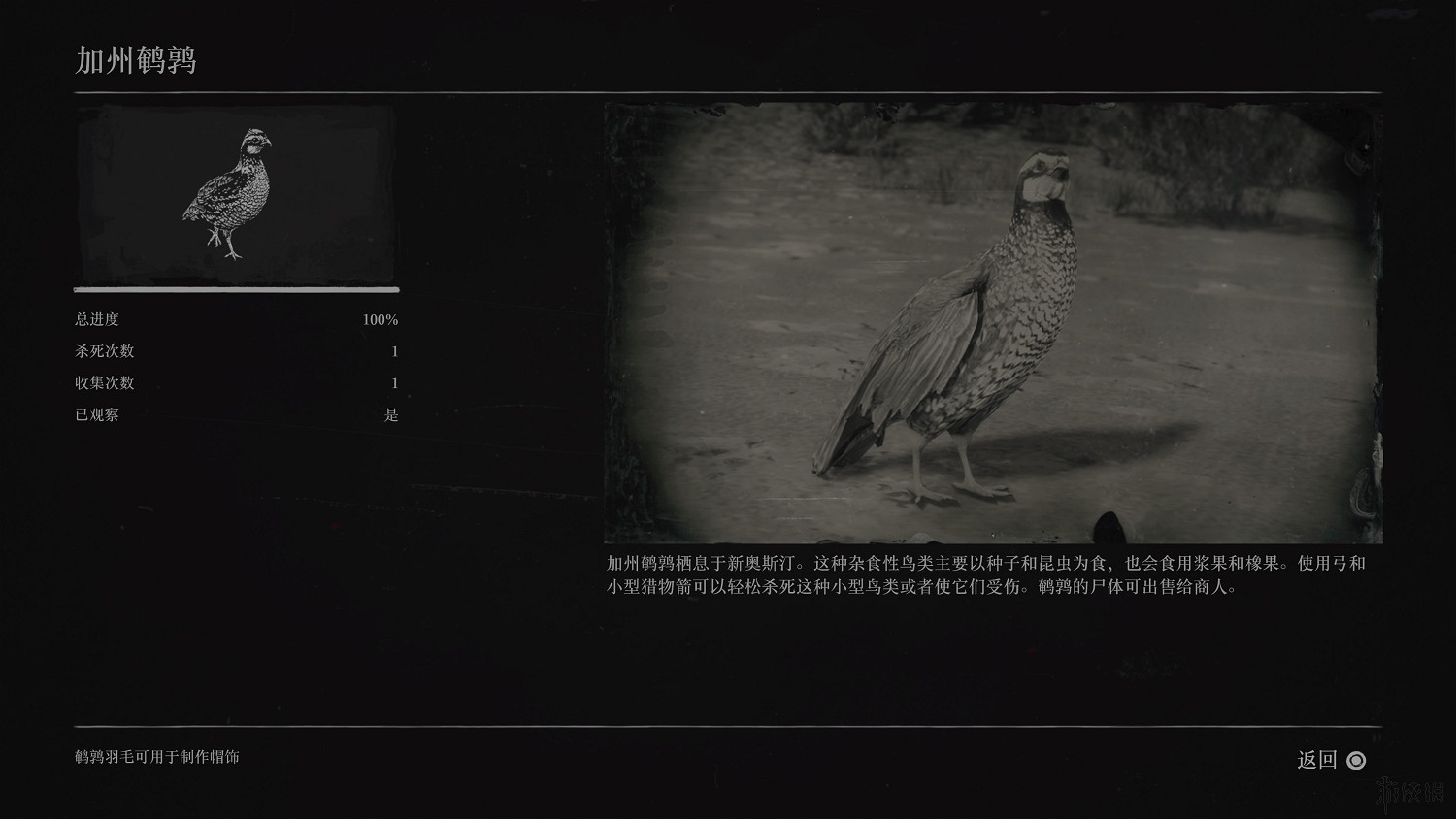 《荒野大鏢客2》全動物圖鑒訊息匯總 全動物獎杯要點分享