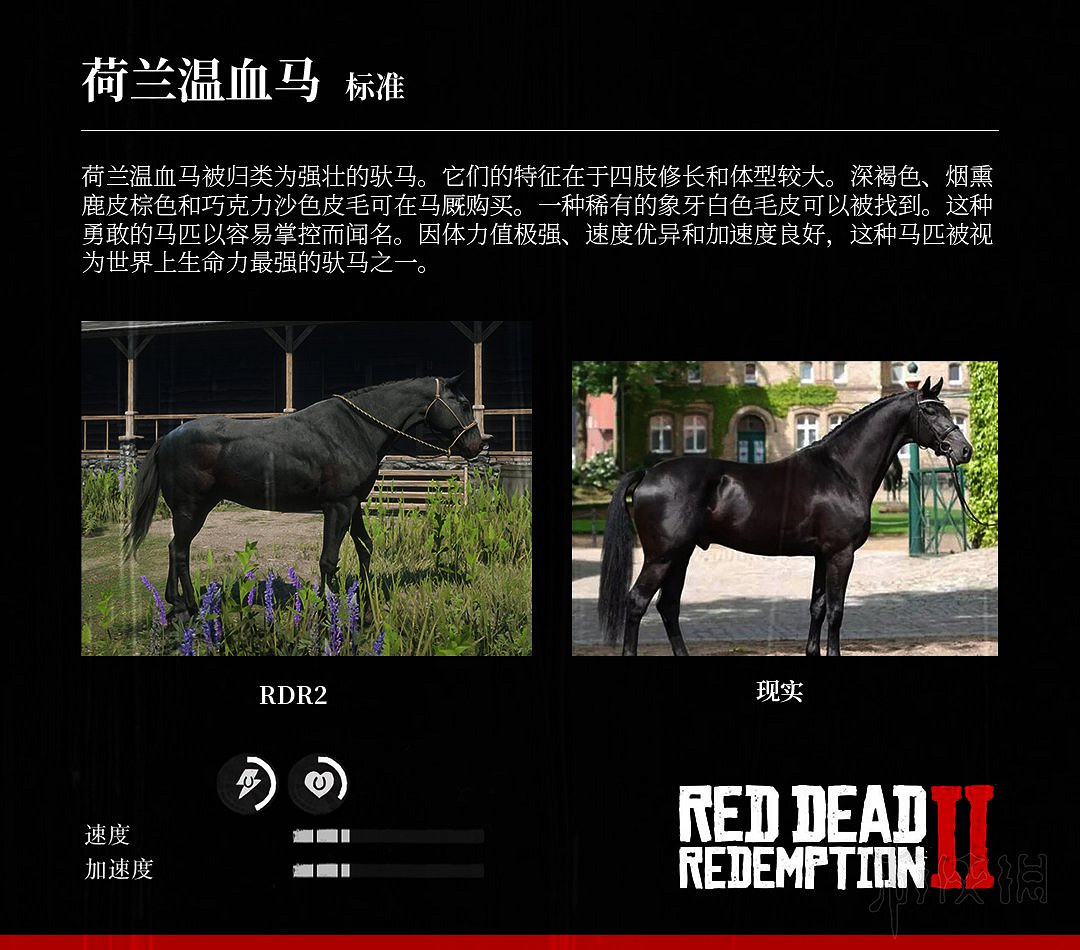 《荒野大鏢客2》全馬匹特性與原型對比分享 馬匹種類介紹 《荒野大鏢客2》全馬匹特性與原型對比分享 馬匹種類介紹