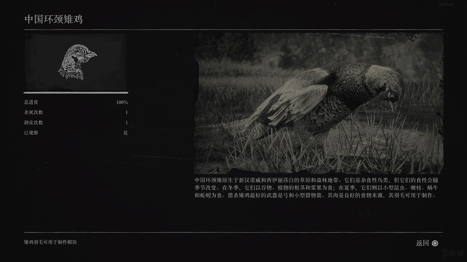 《荒野大鏢客2》全動物圖鑒訊息匯總 全動物獎杯要點分享 《荒野大鏢客2》全動物圖鑒訊息匯總 全動物獎杯要點分享