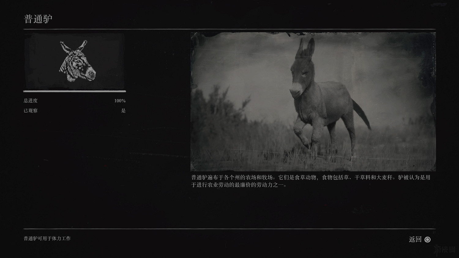 《荒野大鏢客2》全動物圖鑒訊息匯總 全動物獎杯要點分享