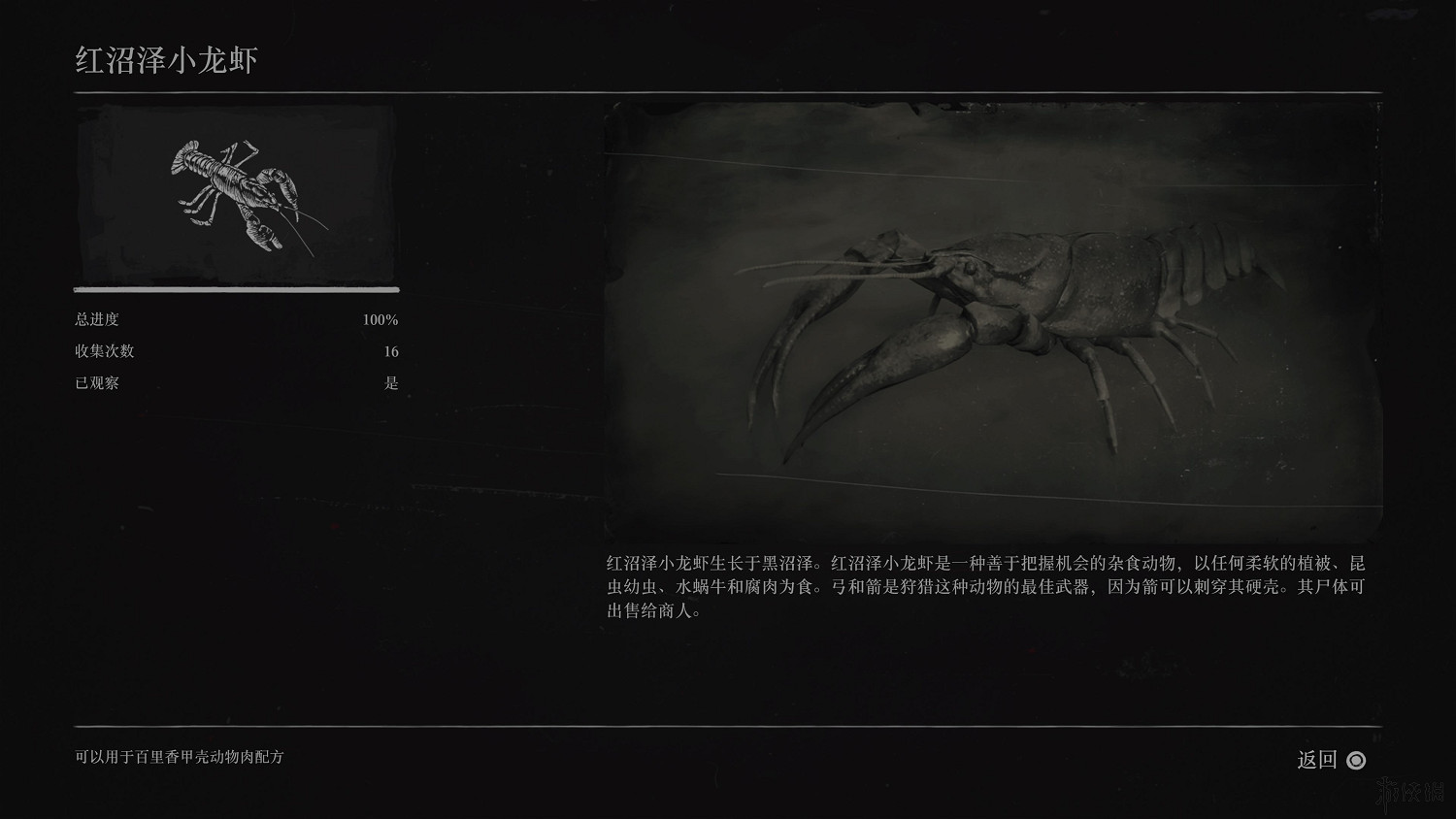 《荒野大鏢客2》全動物圖鑒訊息匯總 全動物獎杯要點分享