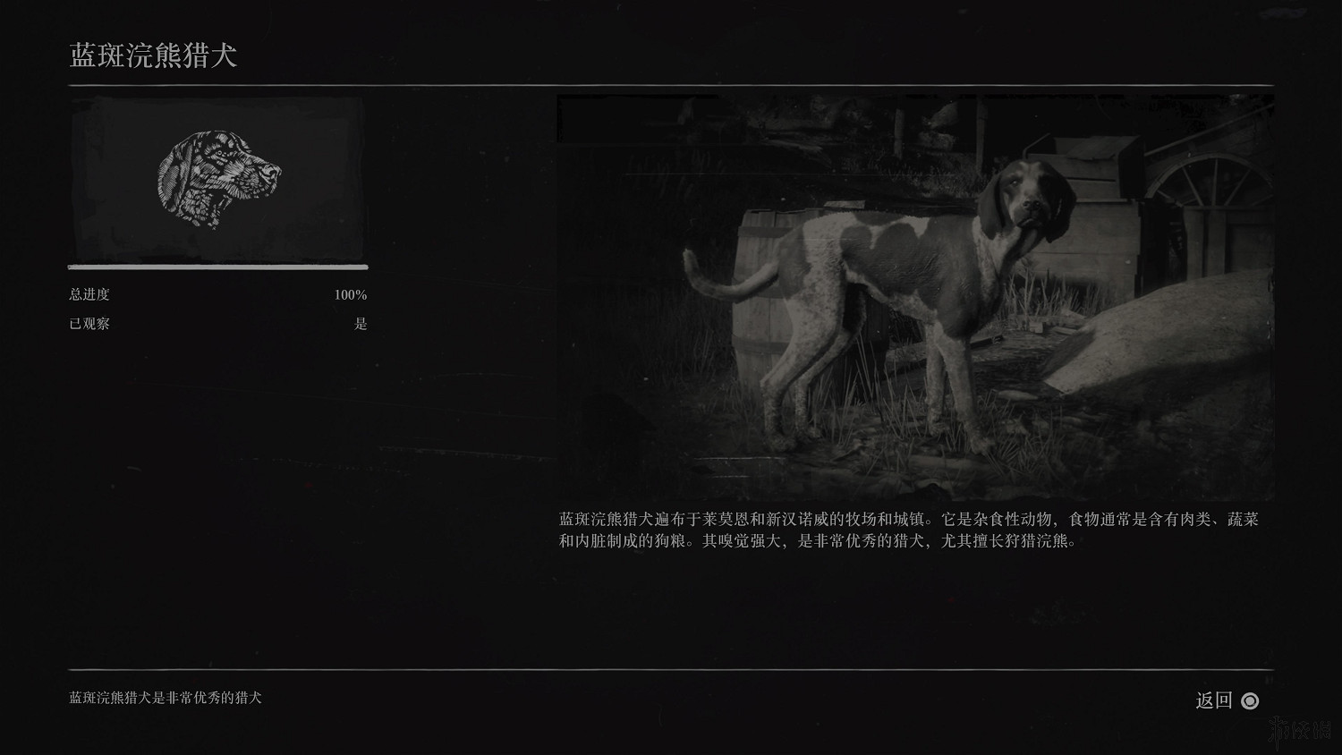 《荒野大鏢客2》全動物圖鑒訊息匯總 全動物獎杯要點分享 《荒野大鏢客2》全動物圖鑒訊息匯總 全動物獎杯要點分享