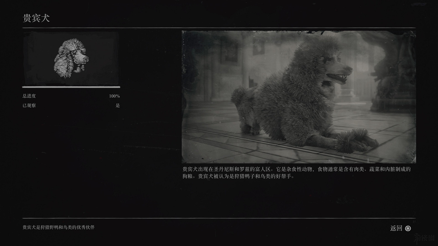 《荒野大鏢客2》全動物圖鑒訊息匯總 全動物獎杯要點分享