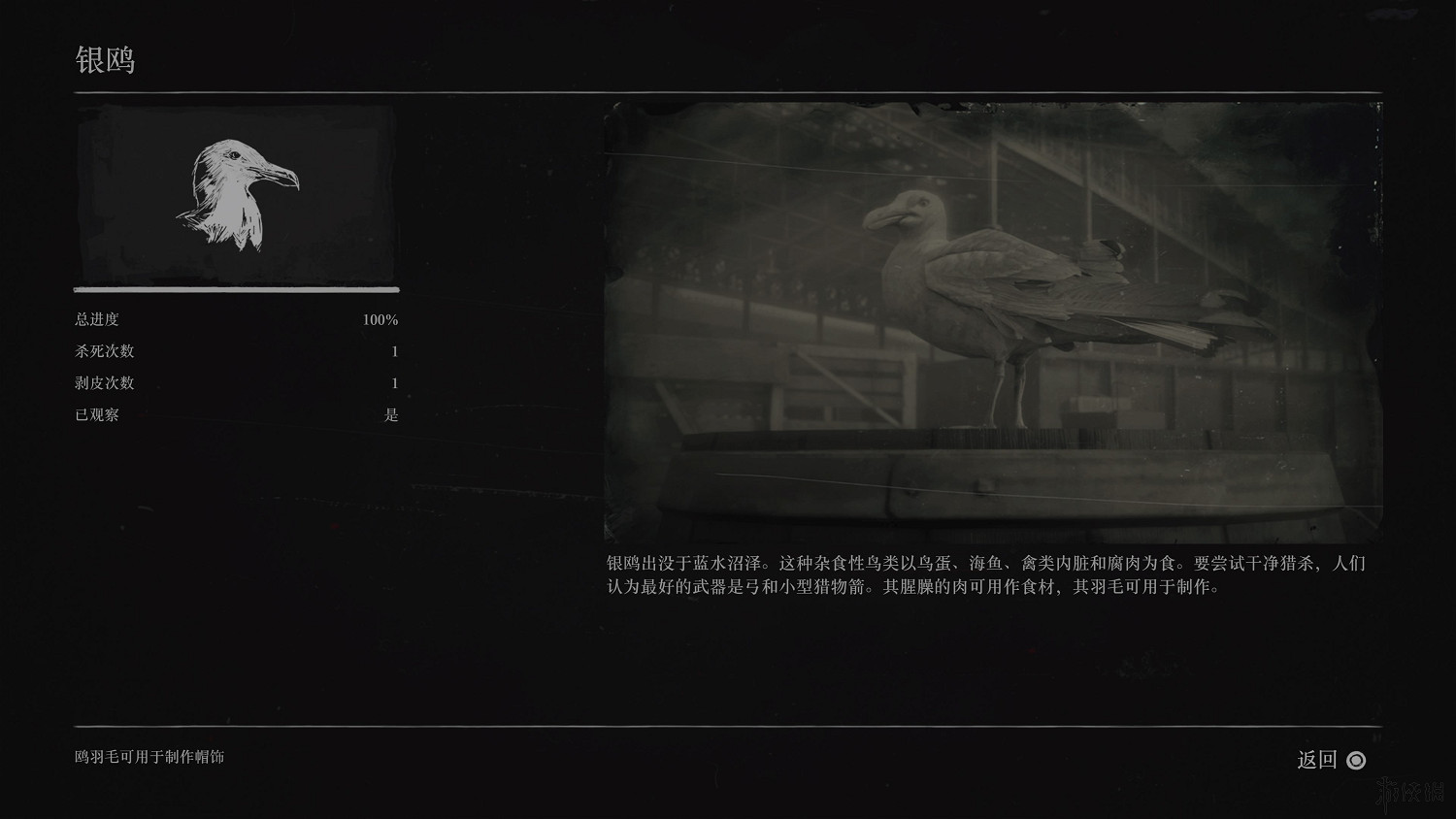 《荒野大鏢客2》全動物圖鑒訊息匯總 全動物獎杯要點分享