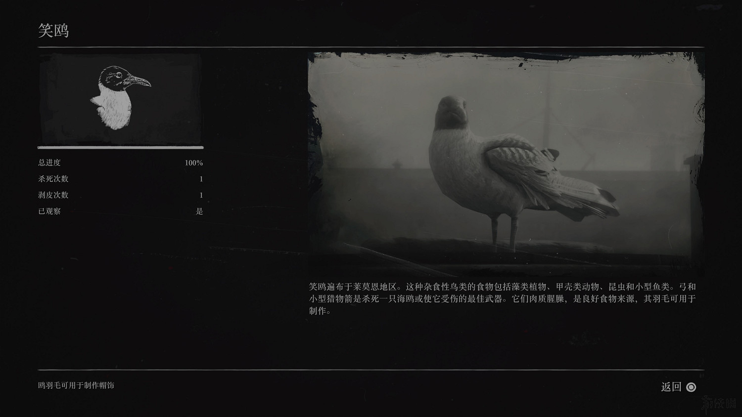 《荒野大鏢客2》全動物圖鑒訊息匯總 全動物獎杯要點分享