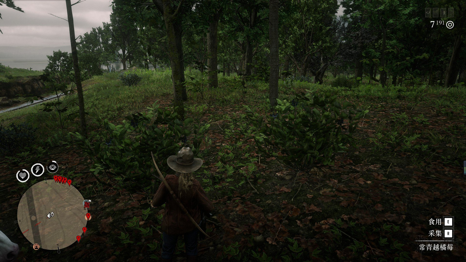 《荒野大鏢客2》野豬哪裡多?野豬常青位置地圖示注 《荒野大鏢客2》野豬哪裡多?野豬常青位置地圖示注