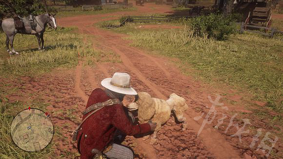 《荒野大鏢客2》沙漠蟾蜍和貴賓犬在哪？沙漠蟾蜍+貴賓犬位置一覽