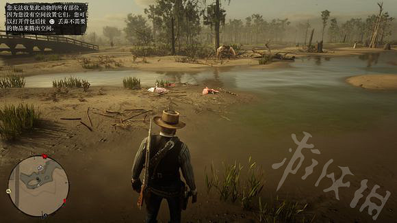 《荒野大鏢客2》各種鷺羽毛怎麽收集？各種鷺羽毛收集攻略