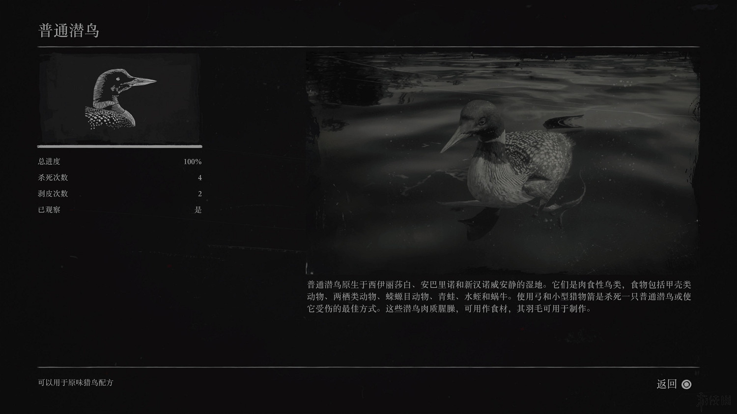 《荒野大鏢客2》全動物圖鑒訊息匯總 全動物獎杯要點分享