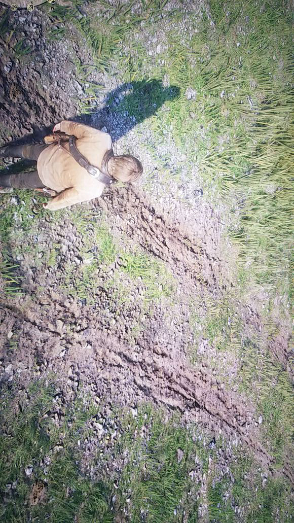 《荒野大鏢客2》顯卡記憶體太低怎麽辦？爆顯卡記憶體方法介紹