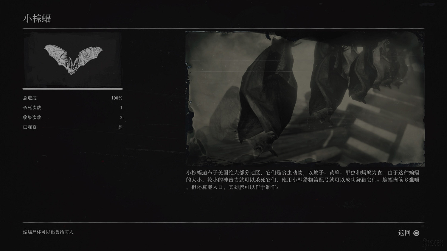 《荒野大鏢客2》全動物圖鑒訊息匯總 全動物獎杯要點分享