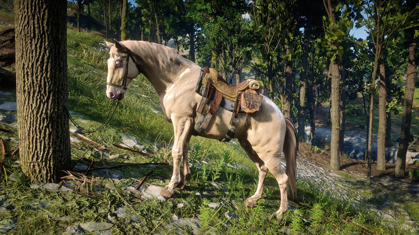 《荒野大鏢客2》老兵任務位置地圖示注 老兵任務在哪裡？