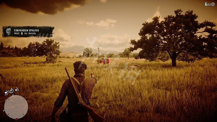 《荒野大鏢客2》野牛用什麽打 野牛皮的用途介紹