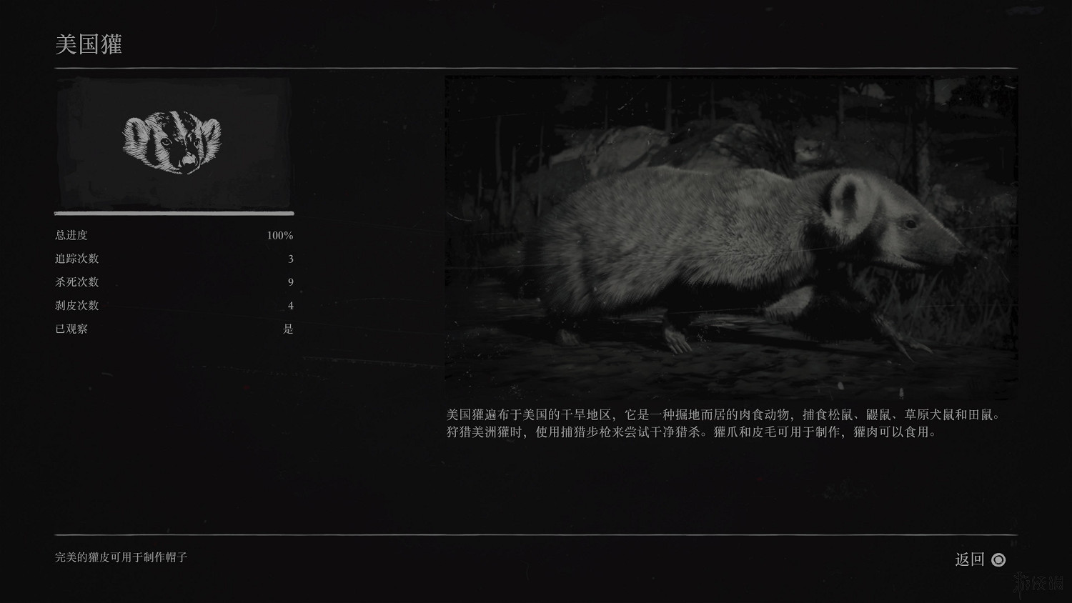 《荒野大鏢客2》全動物圖鑒訊息匯總 全動物獎杯要點分享