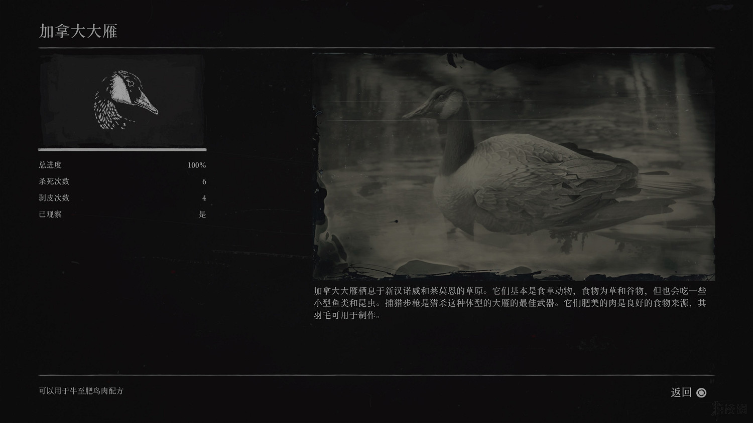 《荒野大鏢客2》全動物圖鑒訊息匯總 全動物獎杯要點分享