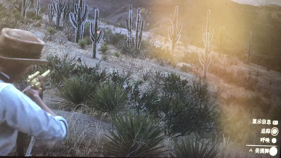 《荒野大鏢客2》風滾草鎮怎麽刷獅子?風滾草鎮刷獅子攻略 《荒野大鏢客2》風滾草鎮怎麽刷獅子?風滾草鎮刷獅子攻略