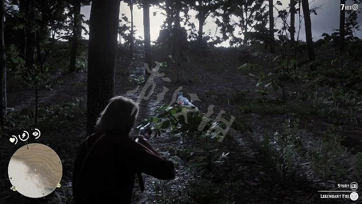 《荒野大鏢客2》狐狸用什麽槍打 狐狸完美皮毛攻略指南