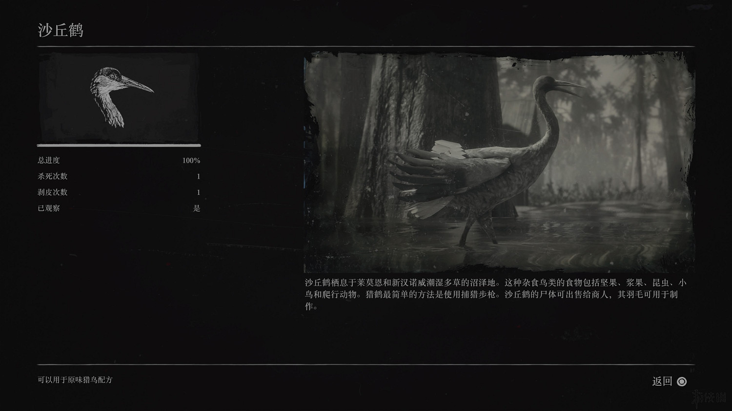 《荒野大鏢客2》全動物圖鑒訊息匯總 全動物獎杯要點分享