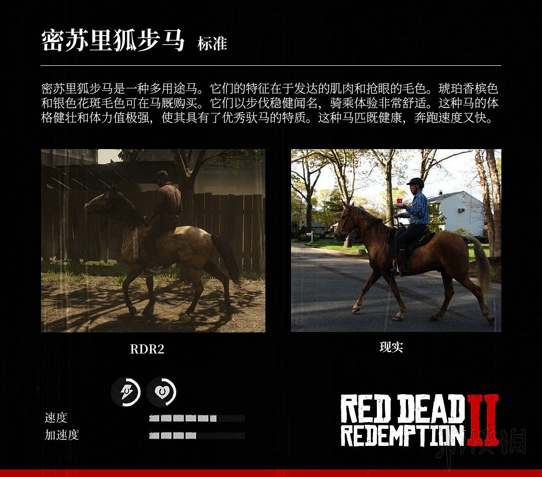 《荒野大鏢客2》全馬匹特性與原型對比分享 馬匹種類介紹 《荒野大鏢客2》全馬匹特性與原型對比分享 馬匹種類介紹