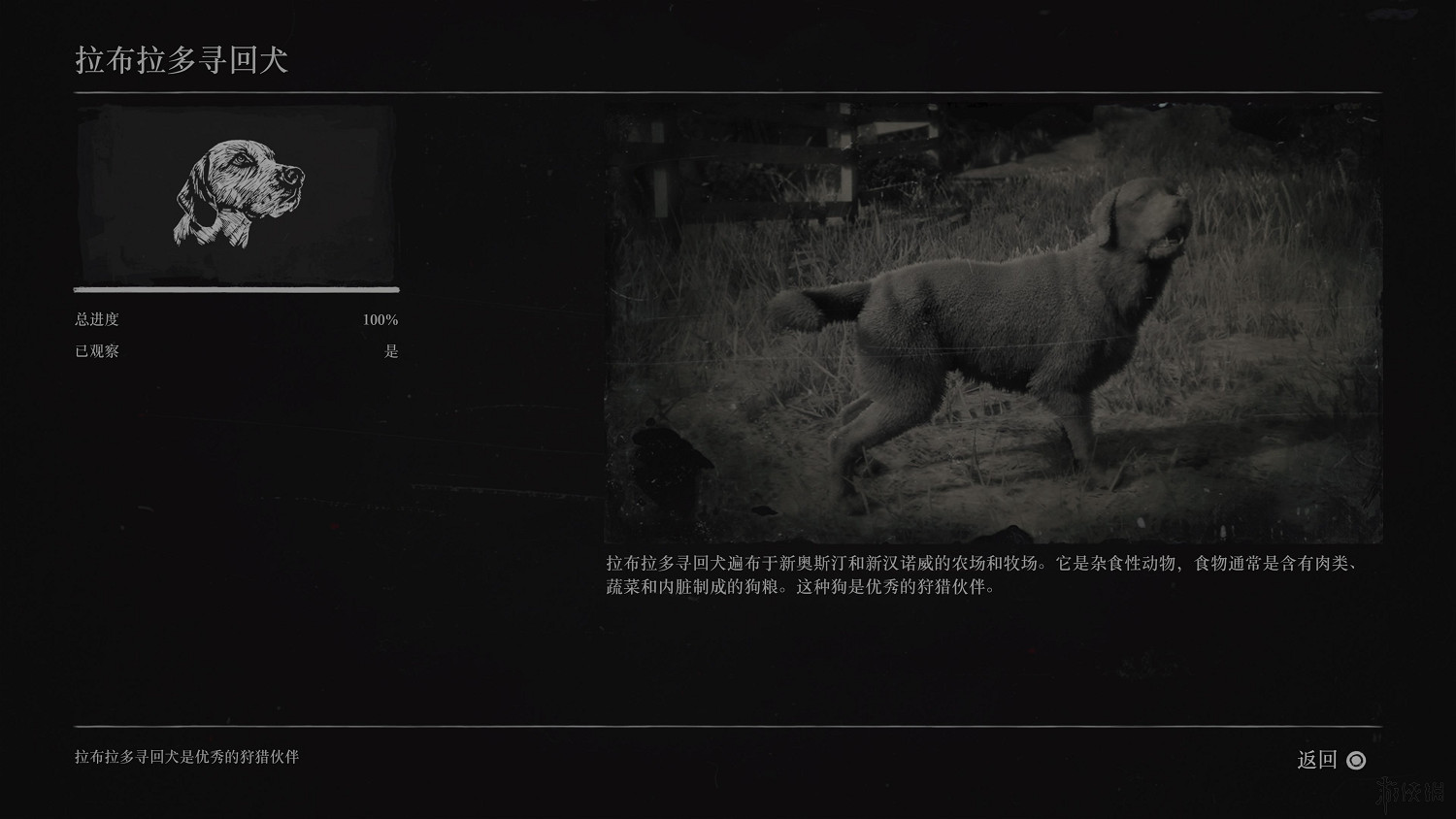 《荒野大鏢客2》全動物圖鑒訊息匯總 全動物獎杯要點分享