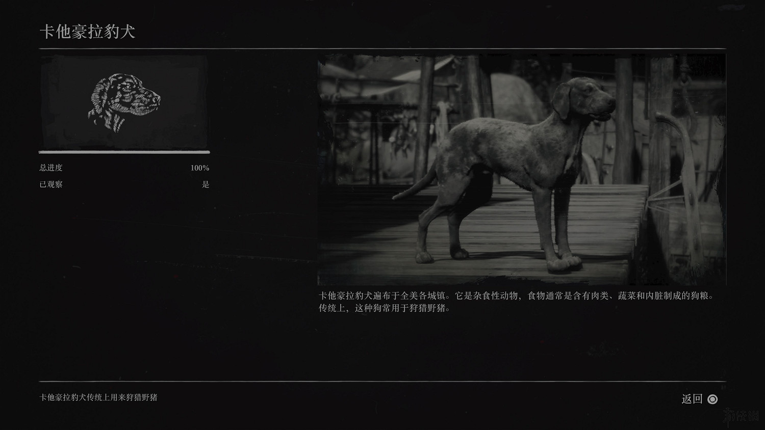 《荒野大鏢客2》全動物圖鑒訊息匯總 全動物獎杯要點分享 《荒野大鏢客2》全動物圖鑒訊息匯總 全動物獎杯要點分享