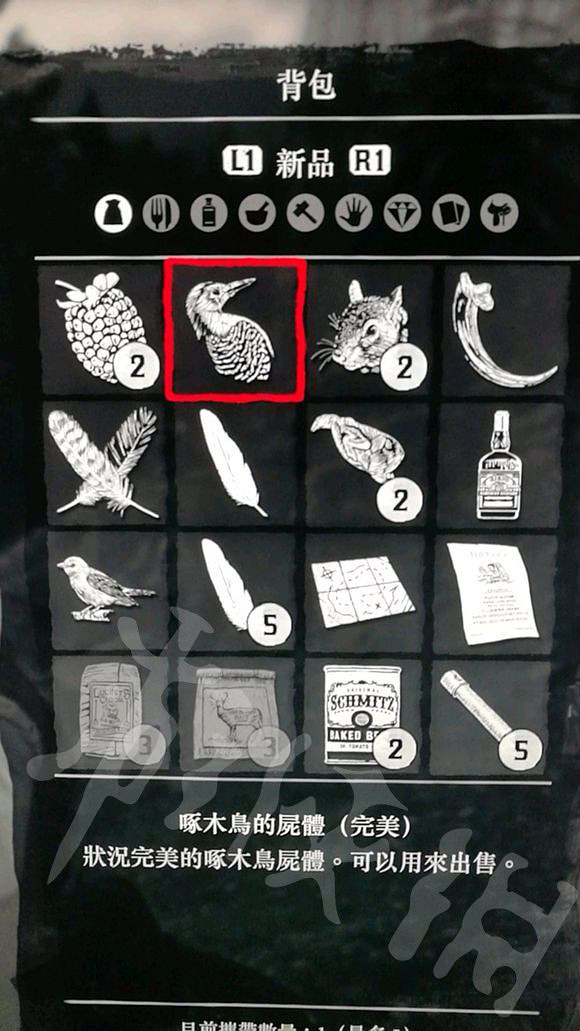 《荒野大鏢客2》北美紅雀和紅腹啄木鳥在哪？北美紅雀和紅腹啄木鳥位置一覽