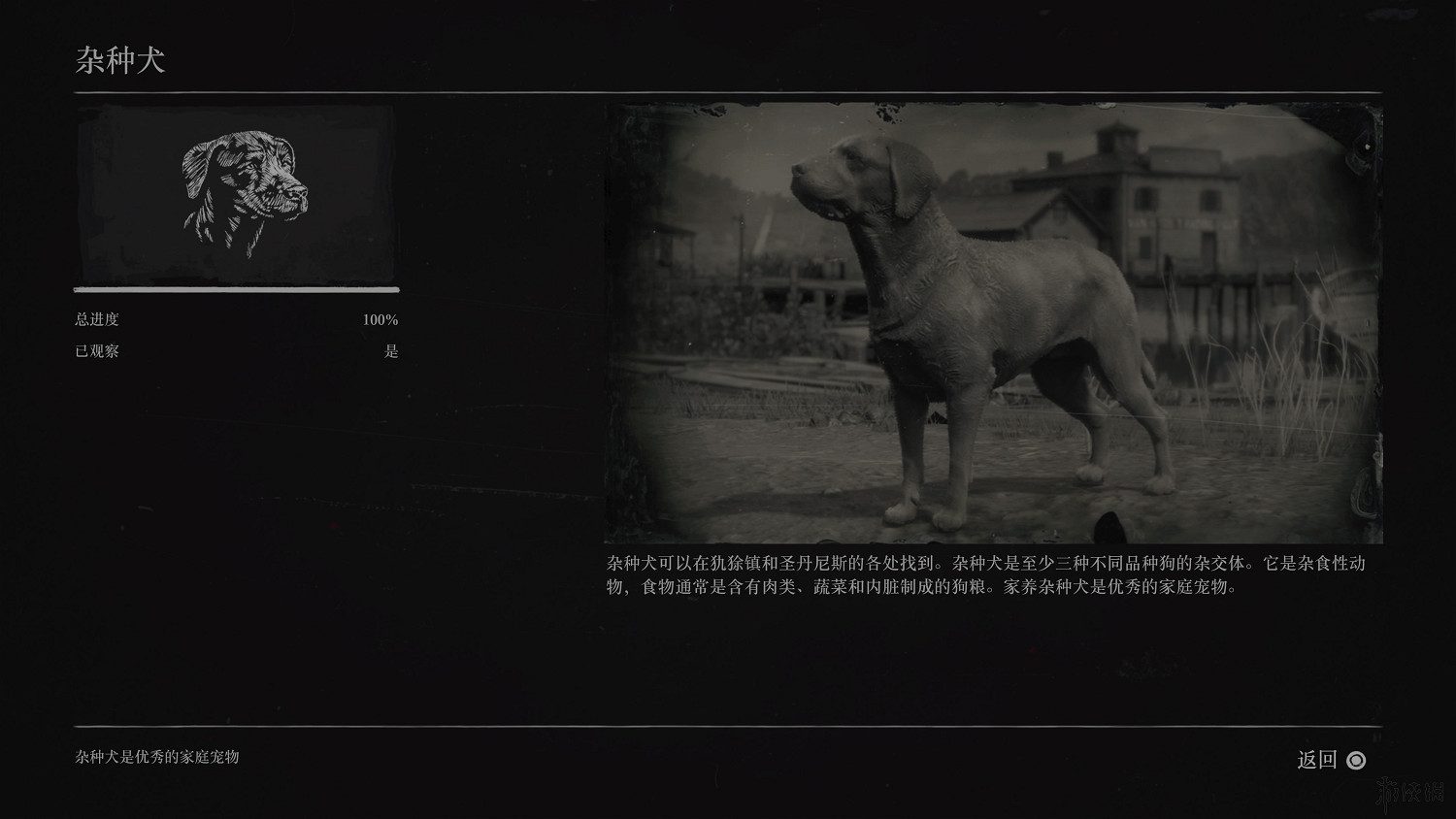 《荒野大鏢客2》全動物圖鑒訊息匯總 全動物獎杯要點分享