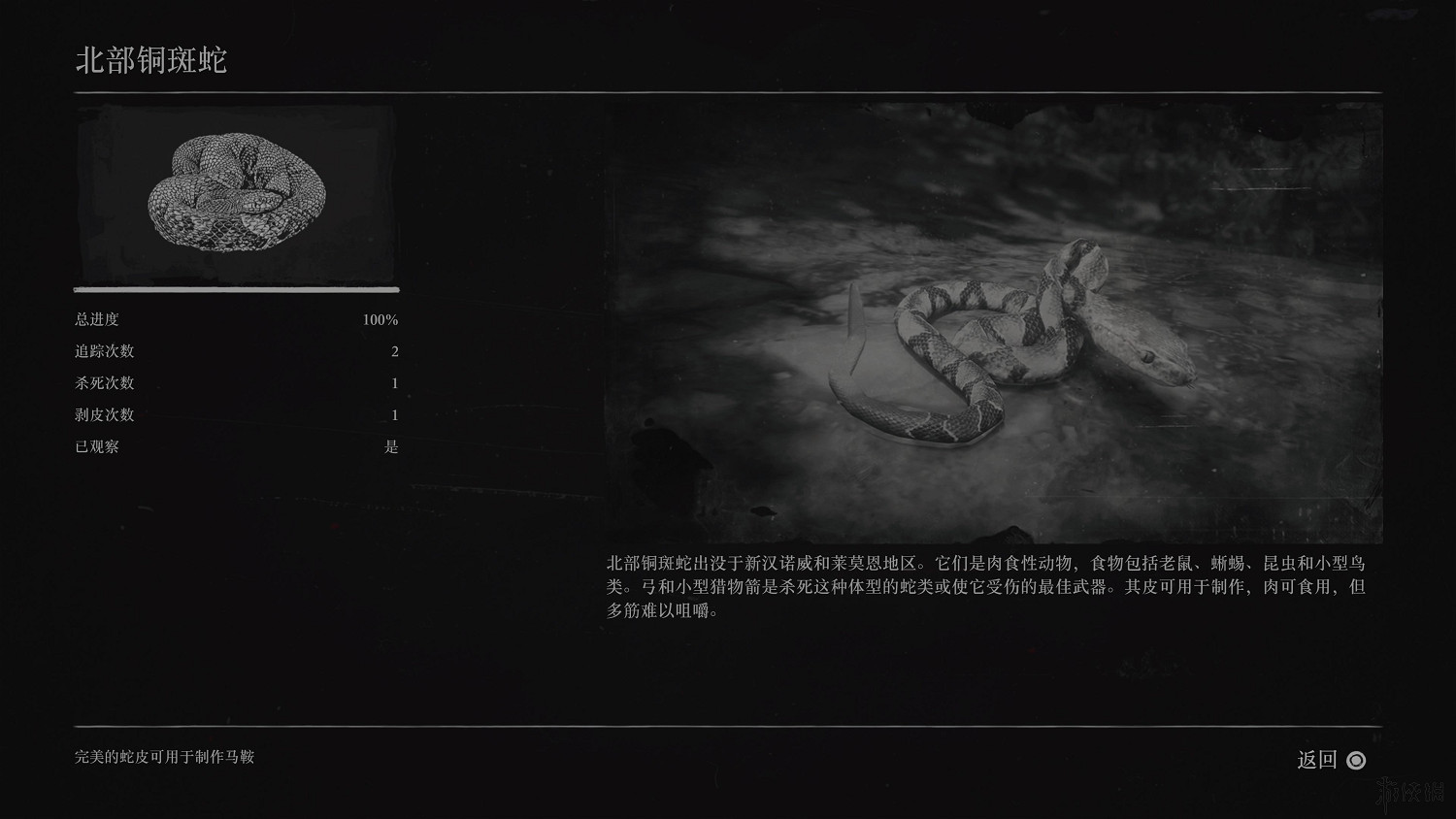 《荒野大鏢客2》全動物圖鑒訊息匯總 全動物獎杯要點分享 《荒野大鏢客2》全動物圖鑒訊息匯總 全動物獎杯要點分享