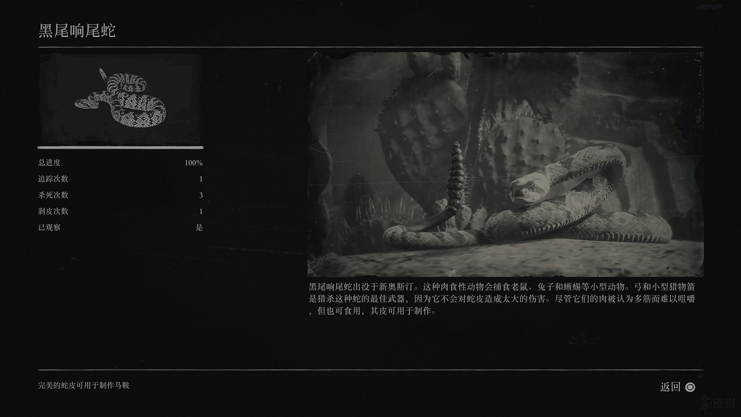 《荒野大鏢客2》全動物圖鑒訊息匯總 全動物獎杯要點分享 《荒野大鏢客2》全動物圖鑒訊息匯總 全動物獎杯要點分享