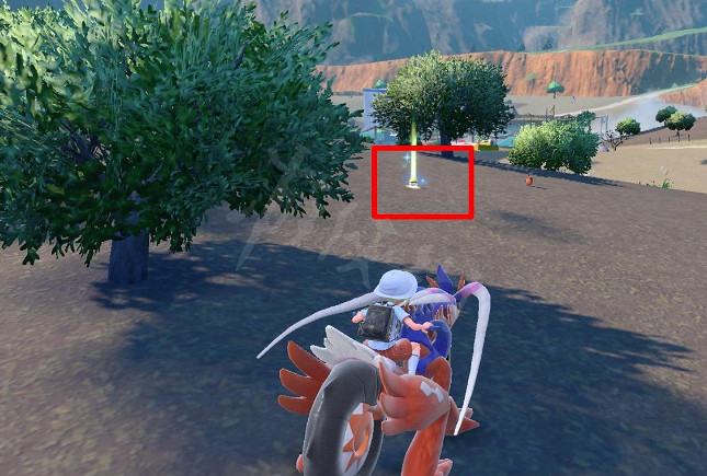 《寶可夢朱紫》輔助力量招式學習器在哪?輔助力量學習器位置分享 《寶可夢朱紫》輔助力量招式學習器在哪?輔助力量學習器位置分享