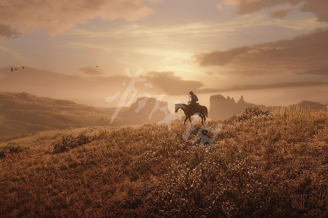 《荒野大鏢客2》8月26日任務是什麽 8月26日任務更新攻略