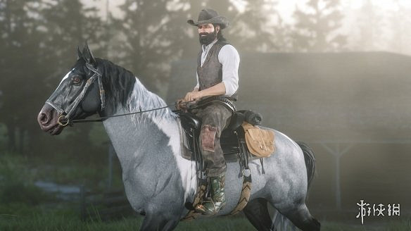 《荒野大鏢客2》epic進不去遊戲怎麽辦 epic進不去解決方法一覽