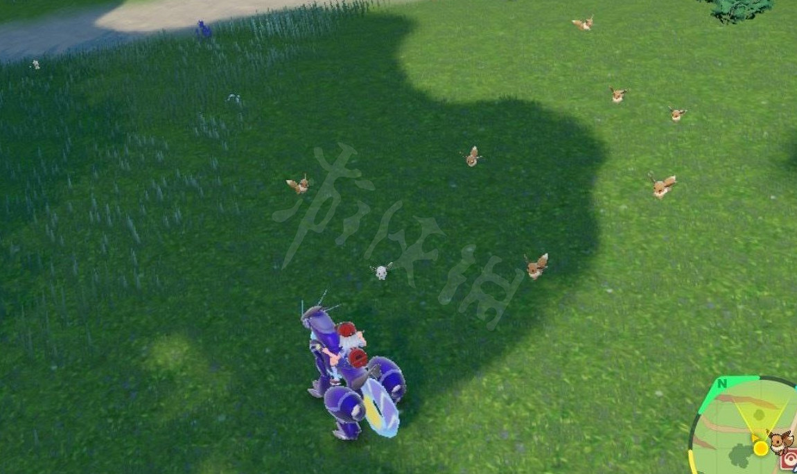 《寶可夢朱紫》閃光伊布怎麽刷?刷閃光伊布方法分享 《寶可夢朱紫》閃光伊布怎麽刷?刷閃光伊布方法分享